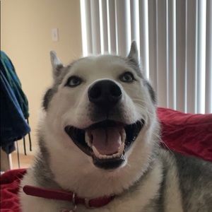 Meet your Posher, Andrew